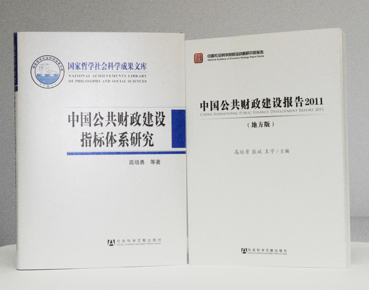 高培勇、张斌、王宁：中国公共财...