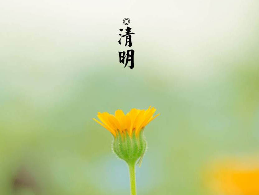 【中华传统节日系列】之清明节